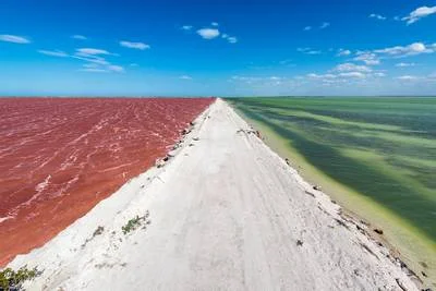 chemin entre les eaux roses de las Coloradas au Mexique dans l'Etat du Yucatan