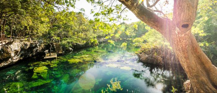 Magnifique cenote ouvert dans le Yucatan