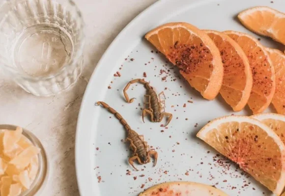 À la Découverte du Monde du Mezcal : Tradition, Saveur et Culture