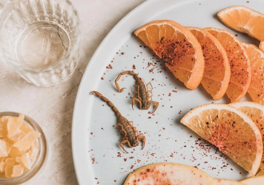 Verre de mezcal accompagné d'un plateau d'oranges, de piment moulu et de scorpions, offrant une expérience sensorielle unique et représentant les saveurs et les traditions du Mexique