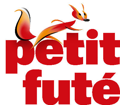 Logo Petit futé