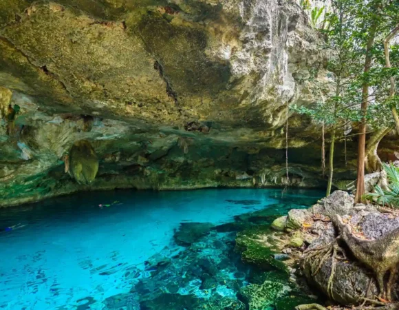 À la découverte des cenotes secrets