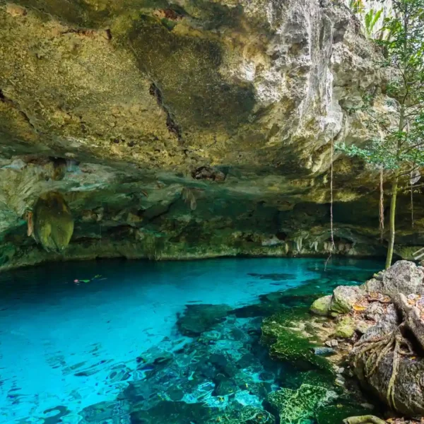 À la découverte des cenotes secrets