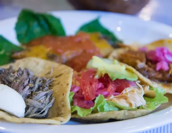 Salbutes et Panuchos